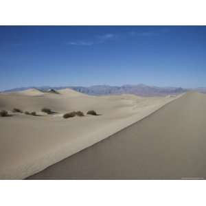 The Sand Dunes, Death Valley National Park, California, USA Premium 