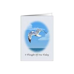  Thinking of You, Ring billed Gull Bird Card Health 