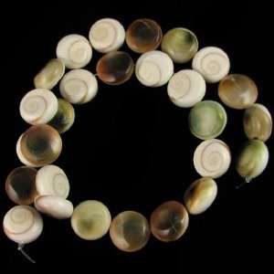  15mm ammonite fossil shell coin beads 16 strand