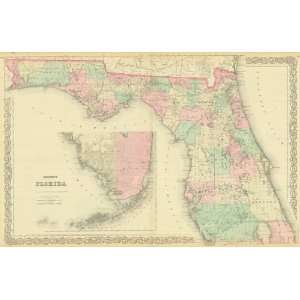  Colton 1881 Antique Map of Florida