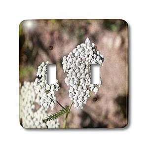   Given Grain and Texture   Light Switch Covers   double toggle switch