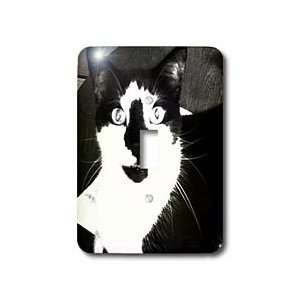 Florene Children s Art   Fat Cat Black   Light Switch Covers   single 