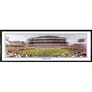   Game Panoramic Poster From the Rob Arra Collection
