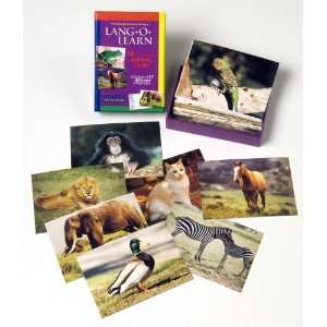  Lang O Learn Animal Card Toys & Games