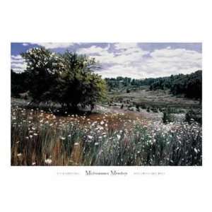  Midsummer Meadow Poster Print