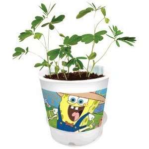 SpongeBobs Silly Sprouts Amazing Moving Plant Nickelodeon 