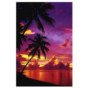  Sunrise and Palm Trees Movie Poster, 24 x 36