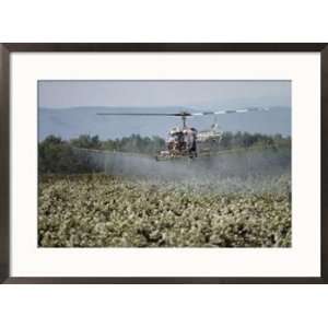  Helicopter spraying apple orchards, Yakima Valley Scenic 