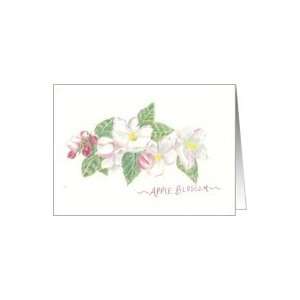  Apple Blossom in Spring Note card Card Health & Personal 