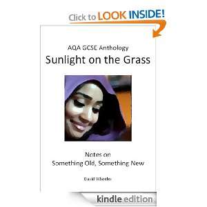 AQA GCSE Anthology Sunlight on the Grass Something Old, Something 