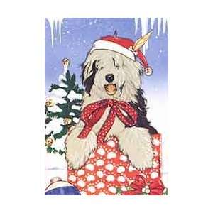  Old English Sheepdog Christmas Cards 