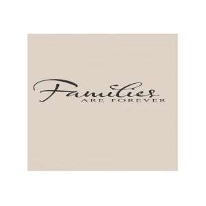 Famlies are forever   Removeable Wall Decal   selected color Baby 