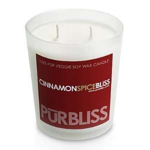 Cinnamon Spice Bliss Soy Candle   Large Jar