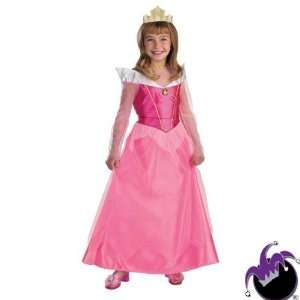   Sleeping Beauty Aurora Standard Child Costume Size 4 6X Toys & Games