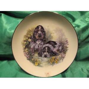  English Springer Spaniel Puppies Collectible Plate 8 