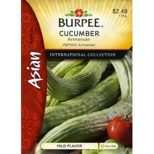  Burpee 69672 Asian   Cucumber Armenian Seed Packet Patio 