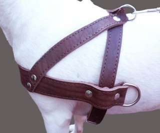 Pulling Leather Dog Harness 1.5 wide 25.5 31  