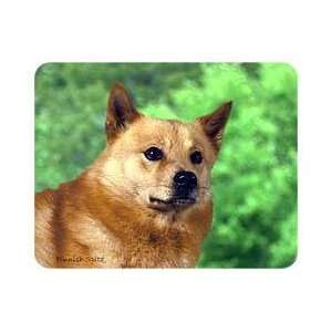  Finnish Spitz Coasters