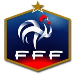  France Euro 2012 Badge