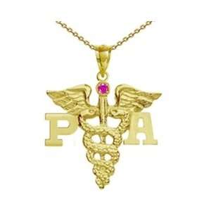  NursingPin   Physician Assistant PA Necklace with Ruby in 