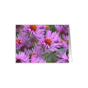  Pink Asters Flower Nature Photo Note Card Card Health 