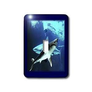 Florene Underwater Animals   Underwater Sharks   Light Switch Covers 