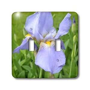 Patricia Sanders Flowers   purple iris   Light Switch Covers   double 