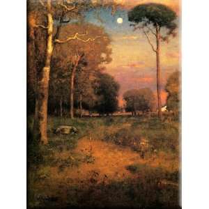   , Florida 22x30 Streched Canvas Art by Inness, George