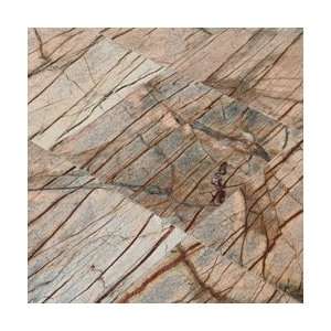  Marble Tile Rain Forest / 12 in.x12 in.x3/8 in. / Polished 