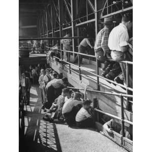  Sports Fans Attending Baseball Game at Ebbets Field 
