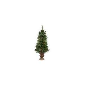 Vickerman 22466   4 Kettle Mix Pine Potted 70 Clear Lights Chri 
