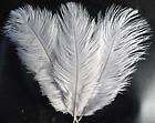 Natural white Ivory 20pcs Ostrich Feathers 28 33cm/11 13 inch