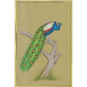  Peacock National Bird of India   Watercolor Painting On 
