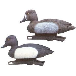   13 Standard Weighted Keel Ringneck Duck Decoys
