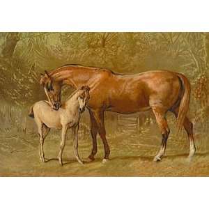  Thoroughbred Mare and Foal 12x18 Giclee on canvas