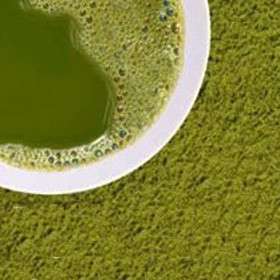 ORGANIC CEREMONY GRADE 1 MATCHA GREEN TEA POWDER 200g  