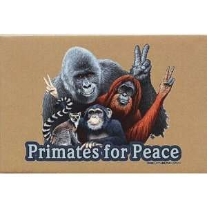  Primates