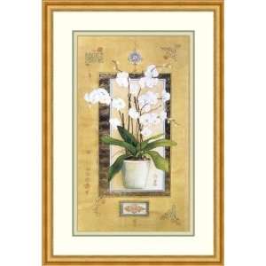  Phalaenopsis I by Nahid Ghodsi   Framed Artwork