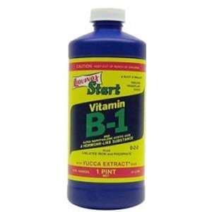 VITAMIN B1 START 10 2 0 PT