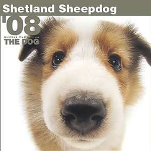  Shetland Sheepdogs 2008 Calendar