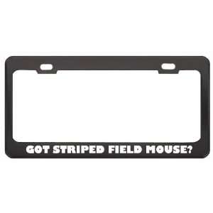 Got Striped Field Mouse? Animals Pets Black Metal License Plate Frame 