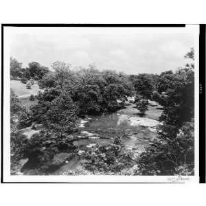   Louisville,Jefferson County,Kentucky,KY,c1922,trees