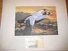 spectacled eider 1992 1993 federal duck stamp print by joseph