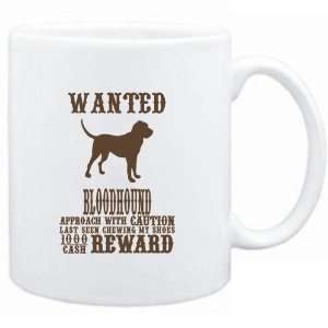    Wanted Bloodhound   $1000 Cash Reward  Dogs