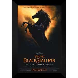  Young Black Stallion 27x40 FRAMED Movie Poster   A 2003 