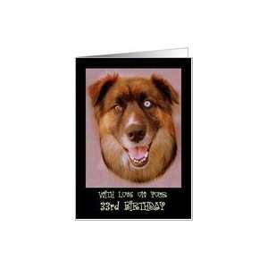   Birthday ~ Age Specific 33rd ~ Dog with 1 blue eye & 1 brown eye Card