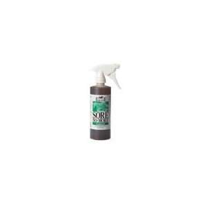 Equilite Sore No More With Sprayer 16 Ounces   1SNBMLTS16E  