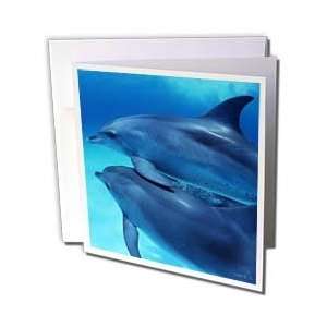  VWPics Oceans   Two young dolphins, Stenella frontalis, swim 