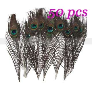 50 Pcs FEATHER PEACOCK TAILS 10 12 Tail Feathers Deco  