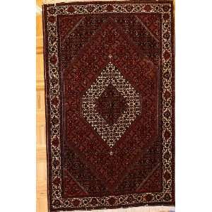  3x6 Hand Knotted Tekab Persian Rug   39x60